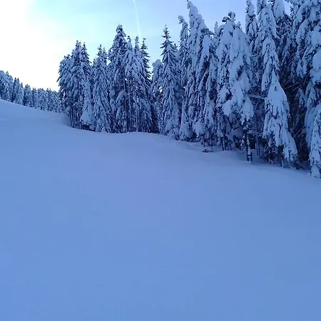 Haus Taxacher Apartmán *