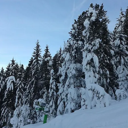 Apartment Haus Taxacher