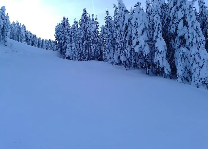 Haus Taxacher Apartman *